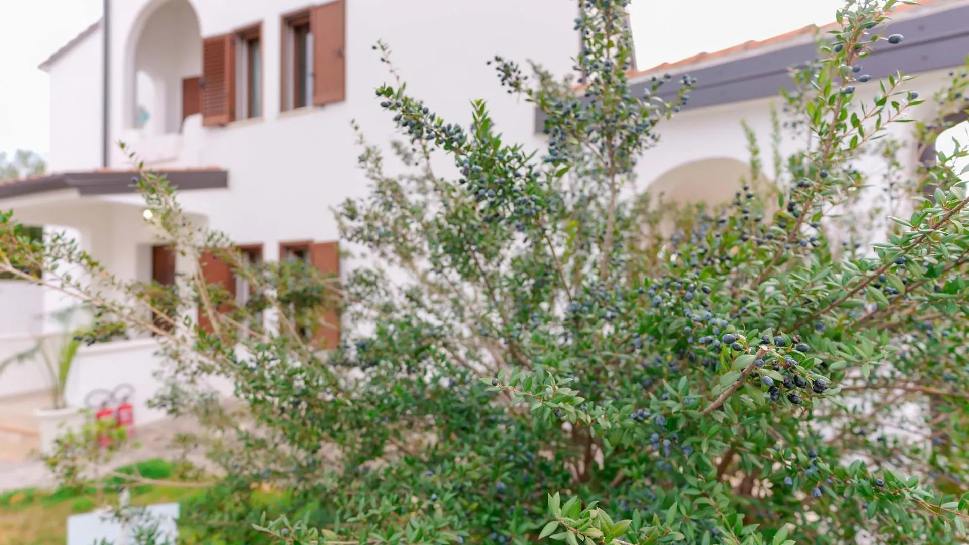 Guest house Villa Wunjo Iun R3267 La Maddalena